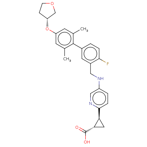 Chemical structure of BindingDB Monomer ID 482756